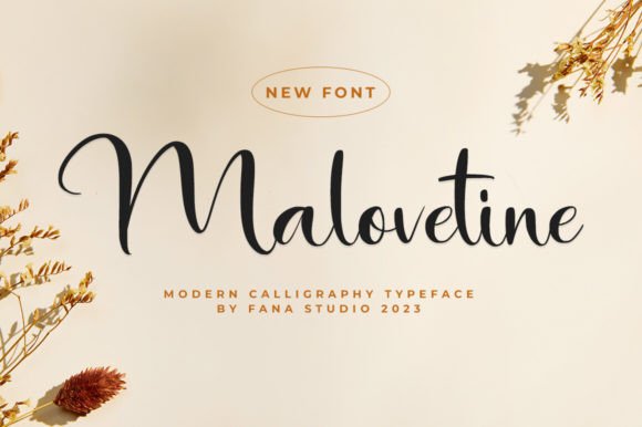 Introducing Malovetine: A Modern Script for Creative Projects