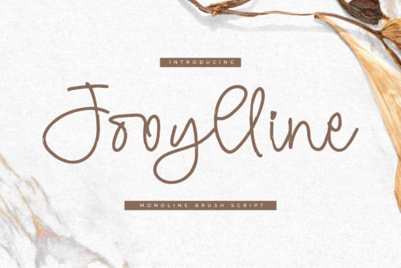 Jooylline: A Monoline Brush Script for Authentic Branding